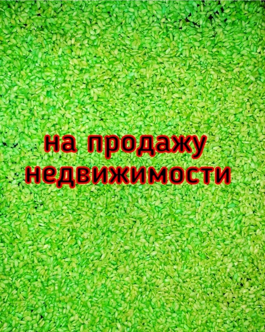 Набор на продажу недвижимости (рис, соль, свеча)