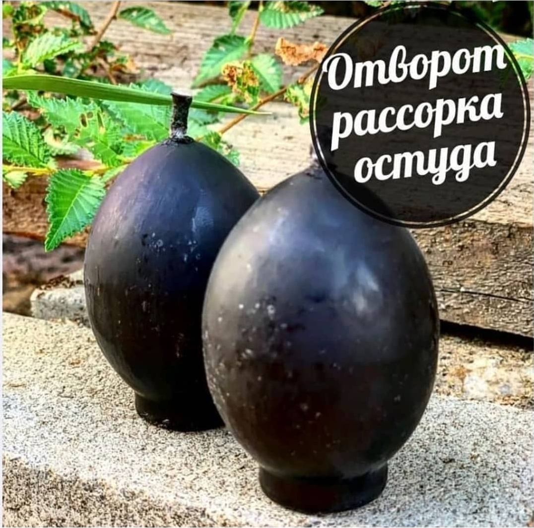 Отворот, рассорка, остуда (5шт)