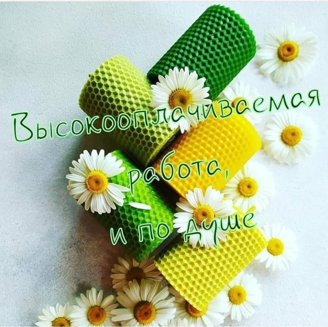 Высокооплачиваемая работа и по душе (2шт)